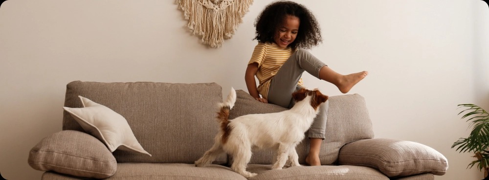 Remova pelos de cachorro com Vivenso